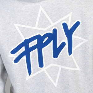 Hoodie FPLY hellgrau – Bild 3